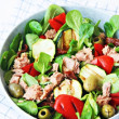 Tonijn Salade